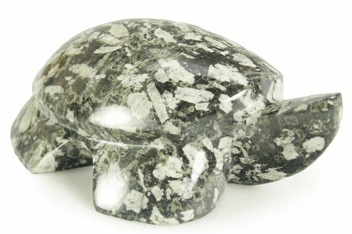 Polished Chinese Writing Rock Turtle - Utah #366756